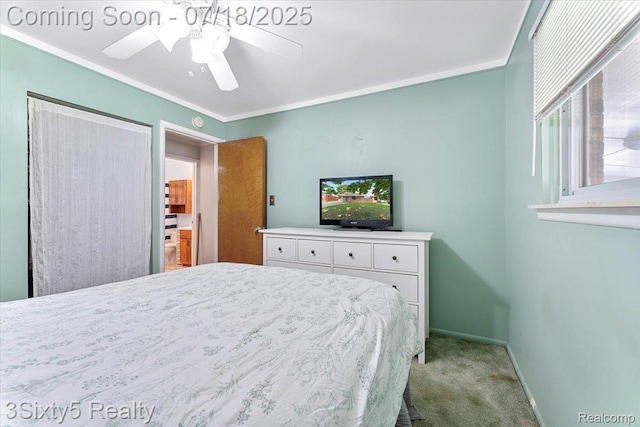 7349 Birch St, Trenton, MI 48180 - photo 13