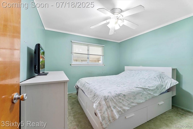 7349 Birch St, Trenton, MI 48180 - photo 12