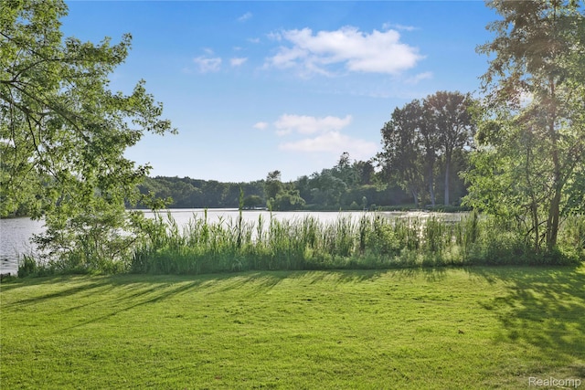 4850 Lockhart St, West Bloomfield, MI 48323 - photo 4