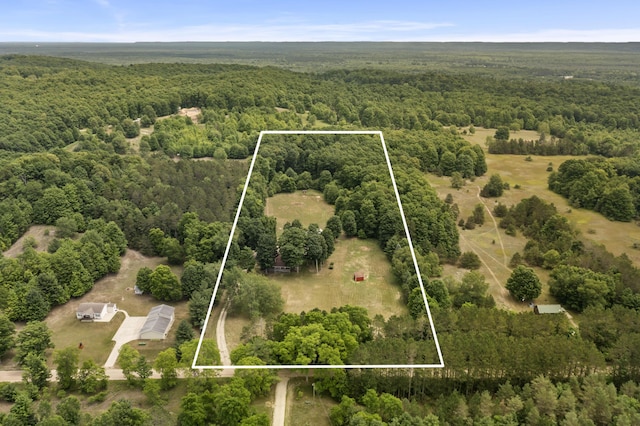 3213 S Carmean Rd, Thompsonville, MI 49683 - photo 49