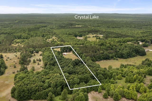 3213 S Carmean Rd, Thompsonville, MI 49683 - photo 56