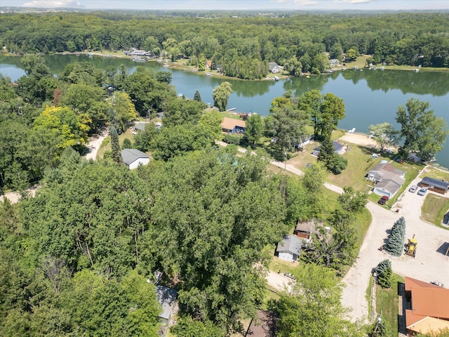 231 Morse Dr, Six Lakes, MI 48886 - photo 41