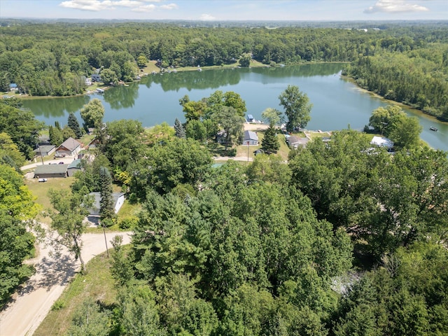 231 Morse Dr, Six Lakes, MI 48886 - photo 42