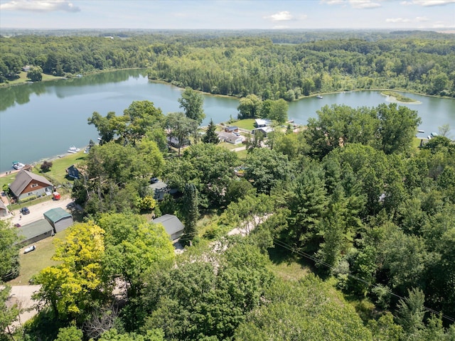 231 Morse Dr, Six Lakes, MI 48886 - photo 43
