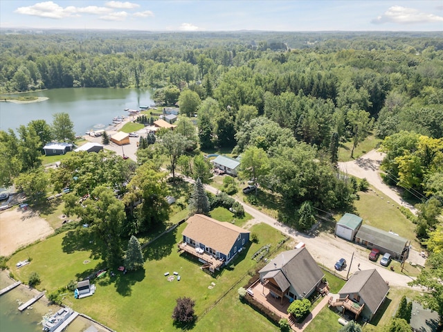 231 Morse Dr, Six Lakes, MI 48886 - photo 44