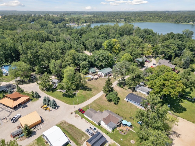 231 Morse Dr, Six Lakes, MI 48886 - photo 46