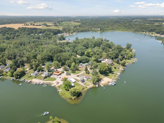 231 Morse Dr, Six Lakes, MI 48886 - photo 47