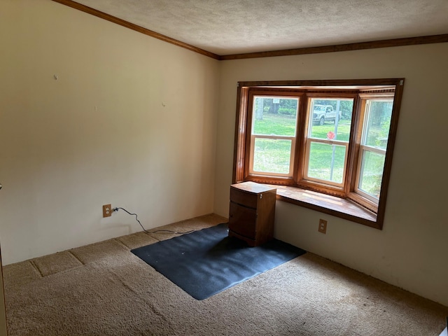 4475 E E Waldo Ln, White Cloud, MI 49349 - photo 16