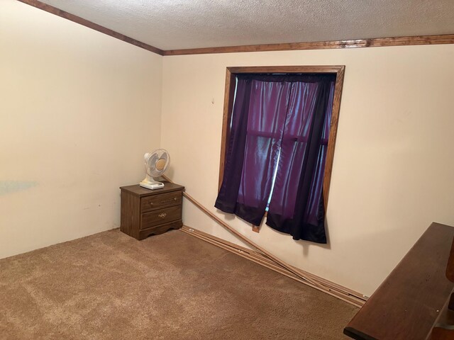 4475 E E Waldo Ln, White Cloud, MI 49349 - photo 20