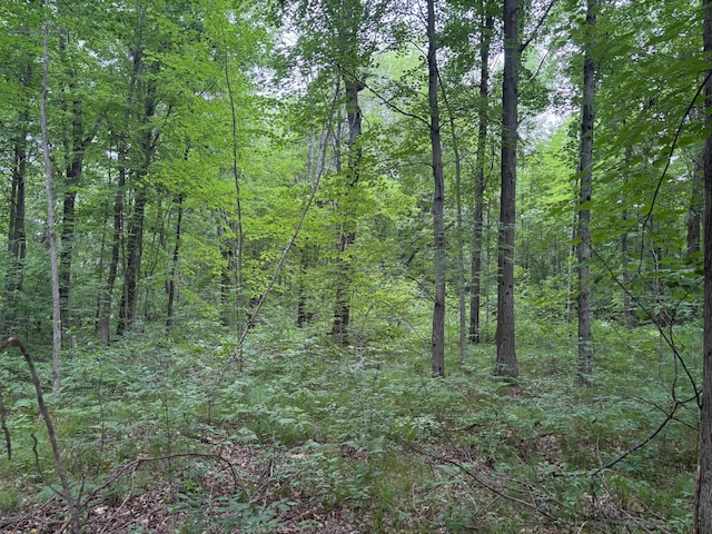 4475 E E Waldo Ln, White Cloud, MI 49349 - photo 61