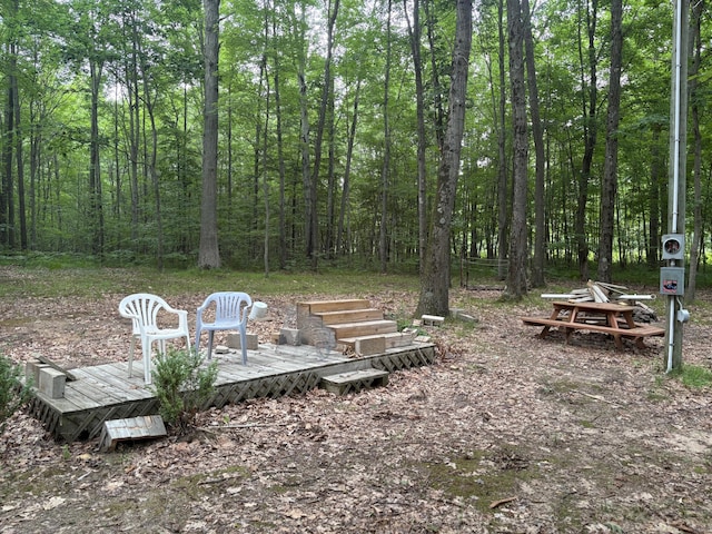 4475 E E Waldo Ln, White Cloud, MI 49349 - photo 63