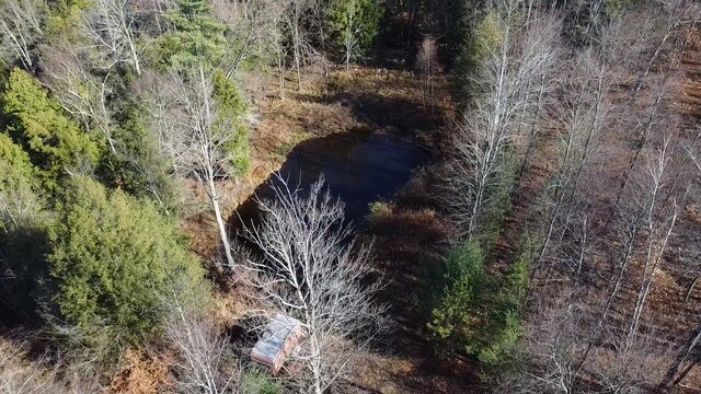 4475 E E Waldo Ln, White Cloud, MI 49349 - photo 42