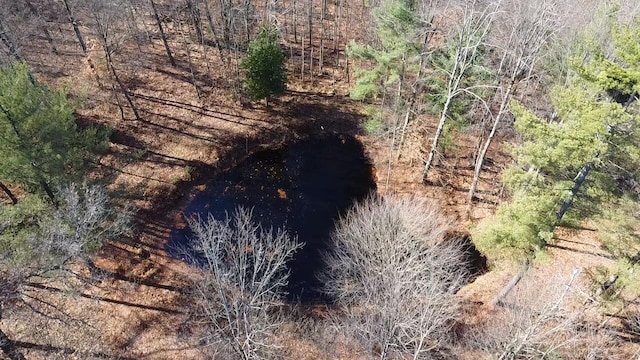 4475 E E Waldo Ln, White Cloud, MI 49349 - photo 36