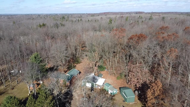 4475 E E Waldo Ln, White Cloud, MI 49349 - photo 66