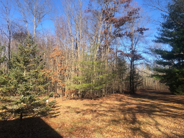 4475 E E Waldo Ln, White Cloud, MI 49349 - photo 48