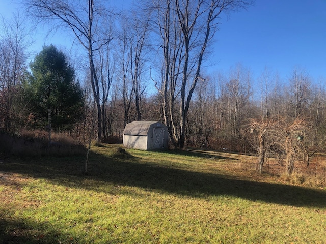 4475 E E Waldo Ln, White Cloud, MI 49349 - photo 58