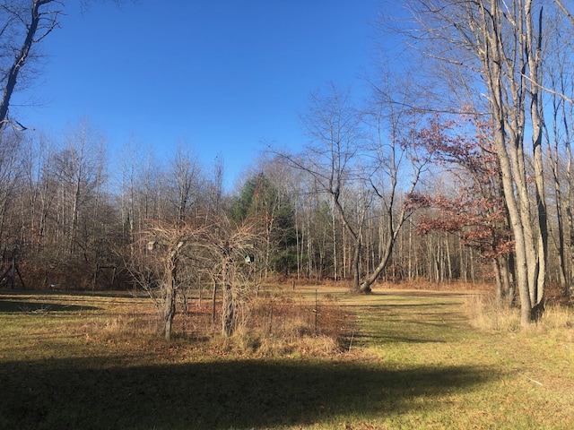 4475 E E Waldo Ln, White Cloud, MI 49349 - photo 64