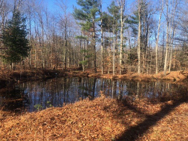 4475 E E Waldo Ln, White Cloud, MI 49349 - photo 37