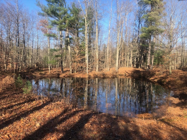 4475 E E Waldo Ln, White Cloud, MI 49349 - photo 38