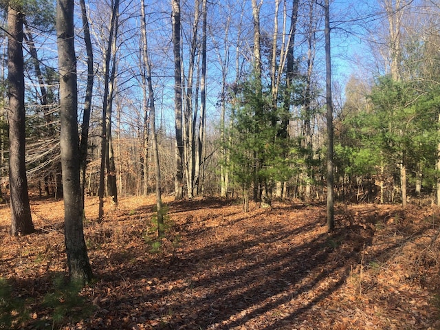 4475 E E Waldo Ln, White Cloud, MI 49349 - photo 46