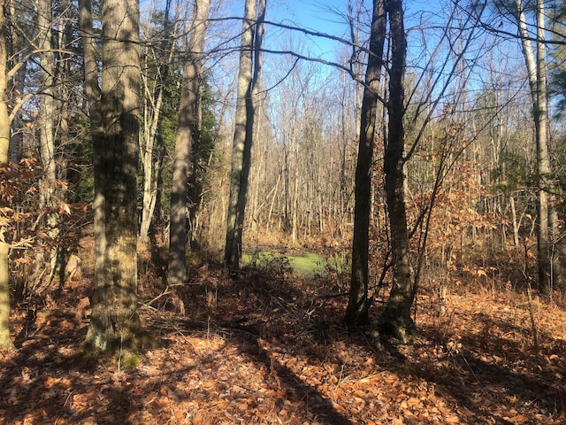 4475 E E Waldo Ln, White Cloud, MI 49349 - photo 39