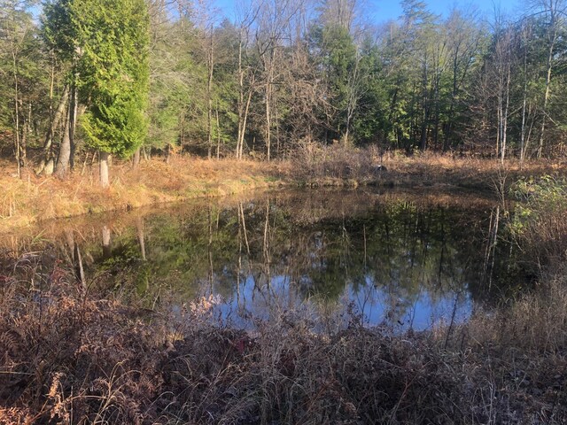 4475 E E Waldo Ln, White Cloud, MI 49349 - photo 43