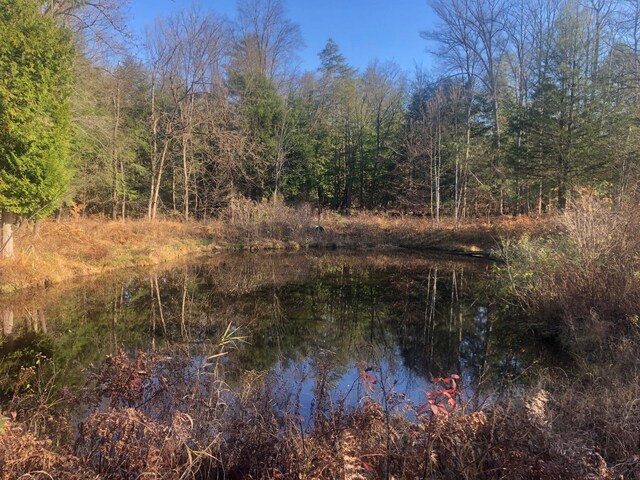 4475 E E Waldo Ln, White Cloud, MI 49349 - photo 44