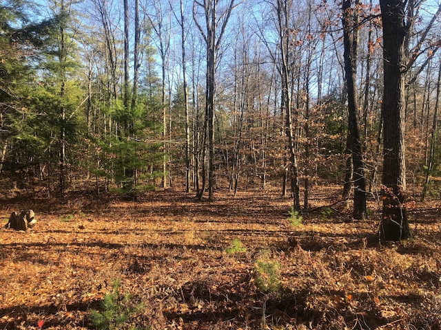 4475 E E Waldo Ln, White Cloud, MI 49349 - photo 53