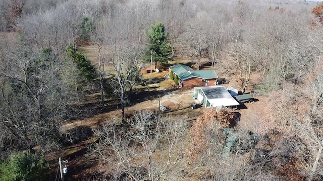 4475 E E Waldo Ln, White Cloud, MI 49349 - photo 9