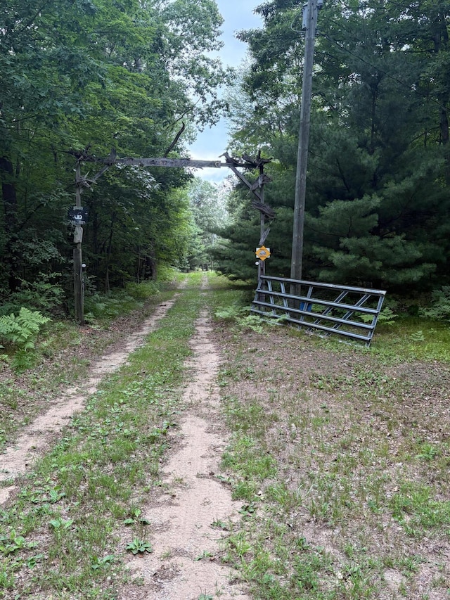 4475 E E Waldo Ln, White Cloud, MI 49349 - photo 71