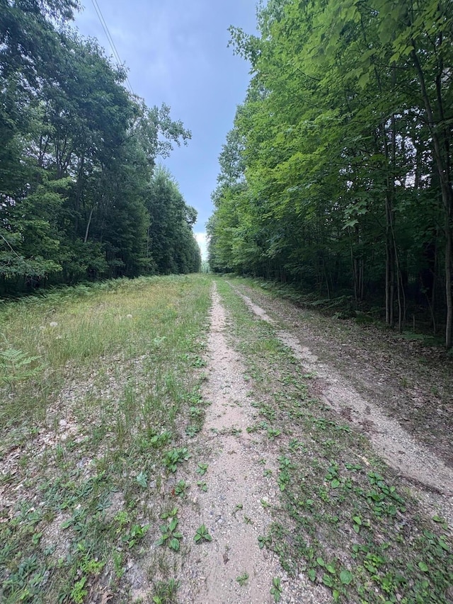 4475 E E Waldo Ln, White Cloud, MI 49349 - photo 72