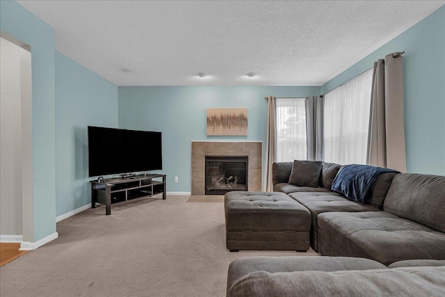 8218 Webster Dr, Dexter, MI 48130 - photo 10