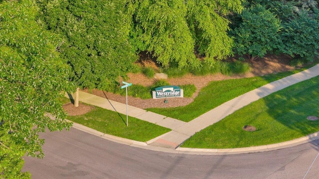 8218 Webster Dr, Dexter, MI 48130 - photo 48
