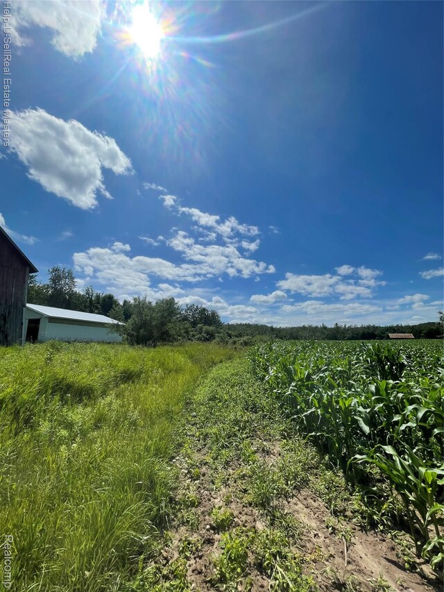 14452 Spruce Rd, Spruce, MI 48762 - photo 18