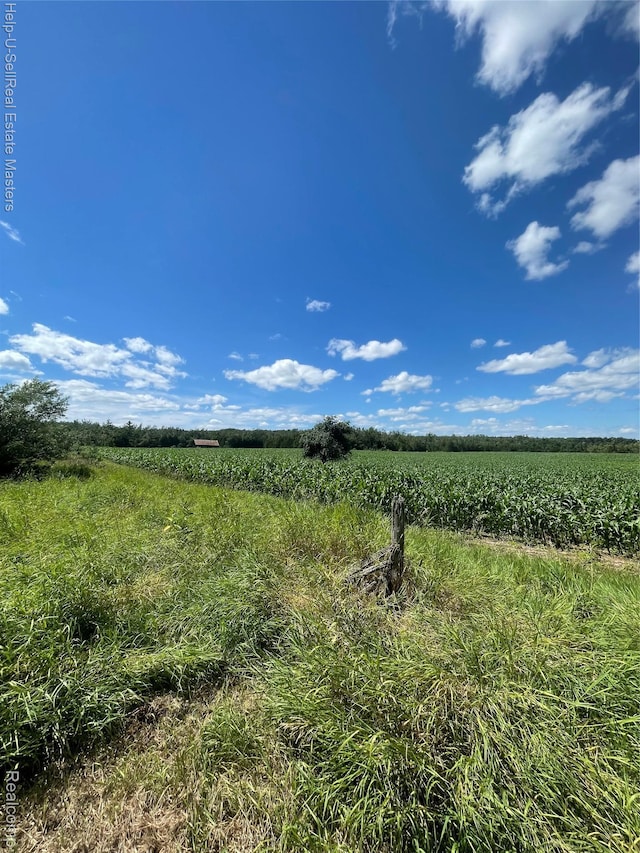 14452 Spruce Rd, Spruce, MI 48762 - photo 19