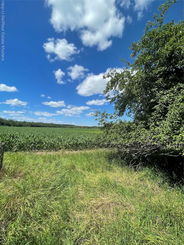 14452 Spruce Rd, Spruce, MI 48762 - photo 20