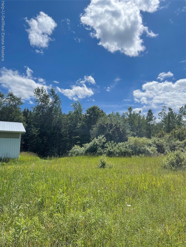 14452 Spruce Rd, Spruce, MI 48762 - photo 22