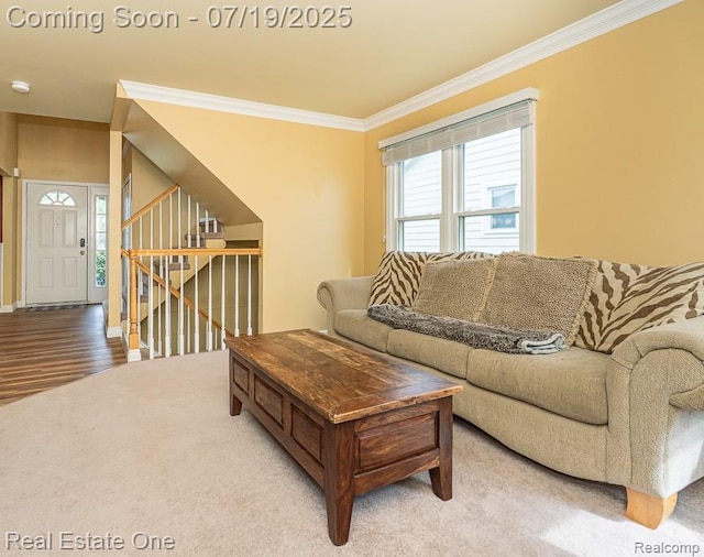 820 Linden Way, Auburn Hills, MI 48326 - photo 5