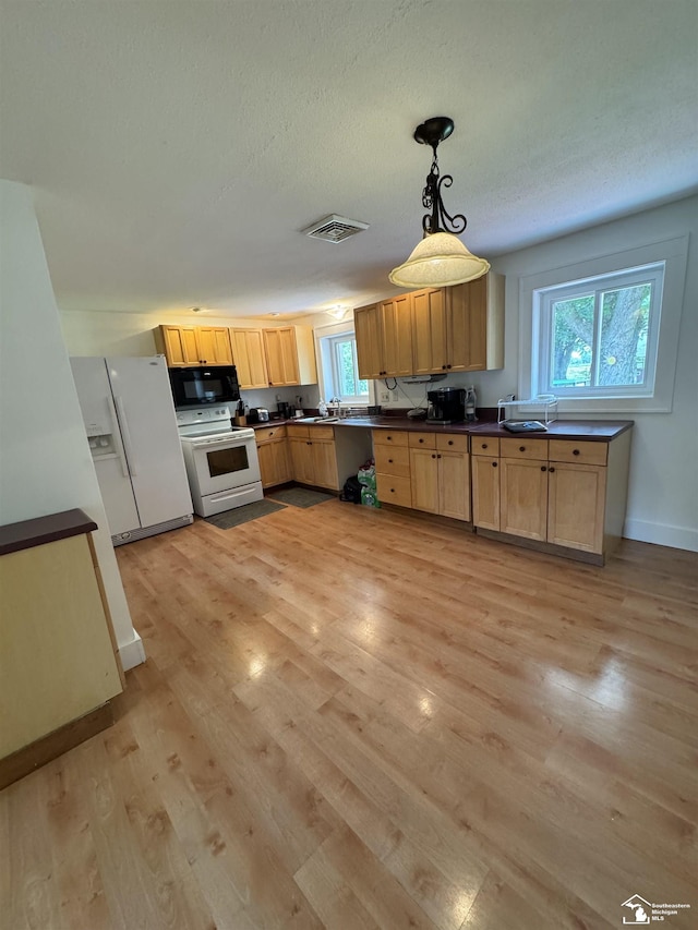 3422 Bluebush Rd, Monroe, MI 48162 - photo 7