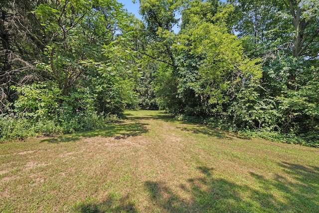 9832 Stadium Dr, Kalamazoo, MI 49009 - photo 33