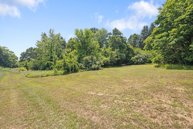 9832 Stadium Dr, Kalamazoo, MI 49009 - photo 35