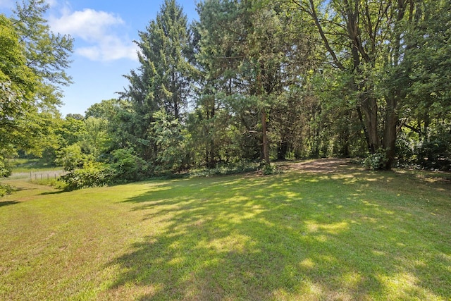 9832 Stadium Dr, Kalamazoo, MI 49009 - photo 36