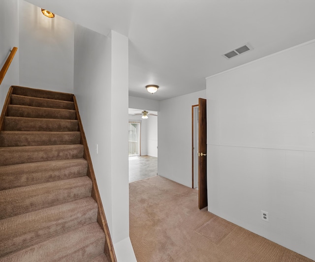 21208 Poinciana St, Southfield, MI 48033 - photo 19