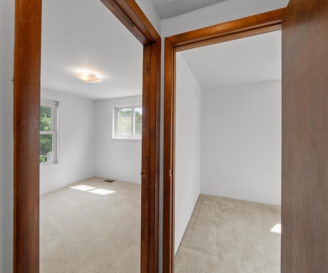 21208 Poinciana St, Southfield, MI 48033 - photo 20