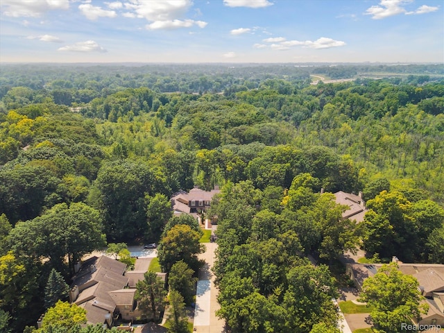 1105 Ivyglen Cir, Bloomfield Hills, MI 48304 - photo 53