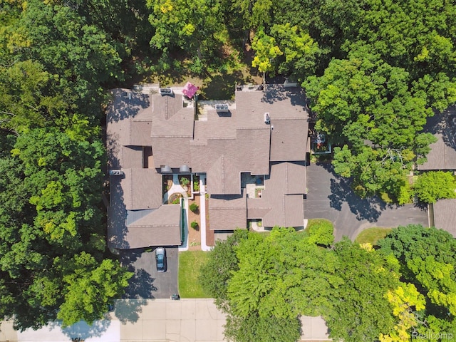 1105 Ivyglen Cir, Bloomfield Hills, MI 48304 - photo 51