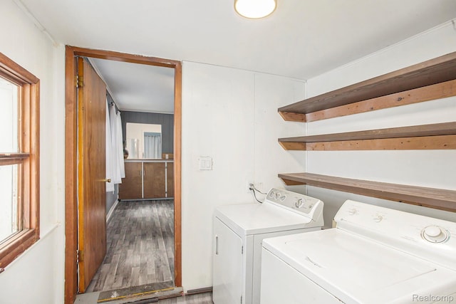 4619 Olivia Ave, Royal Oak, MI 48073 - photo 16