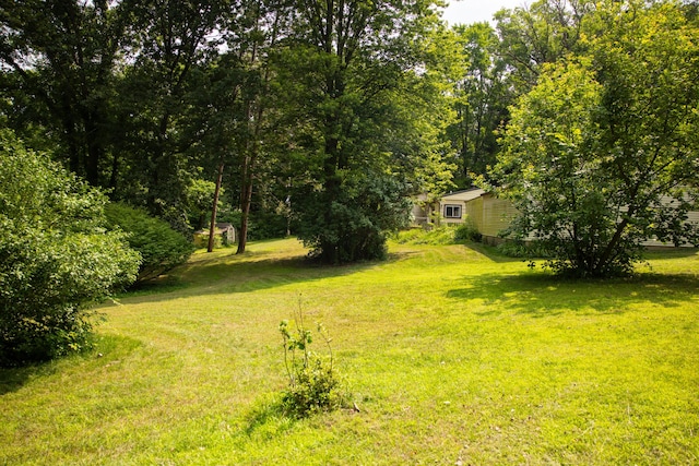 3069 Russon Rd, Gobles, MI 49055 - photo 27