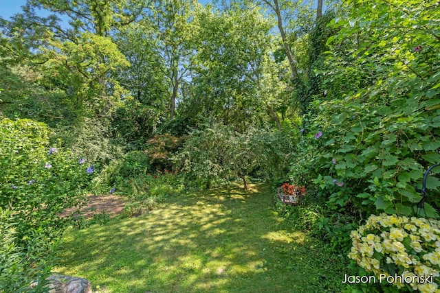 1330 Burke Ave NE, Grand Rapids, MI 49505 - photo 20