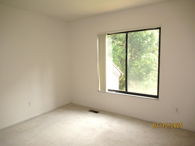 1 Westbury Ct, Ann Arbor, MI 48105 - photo 24